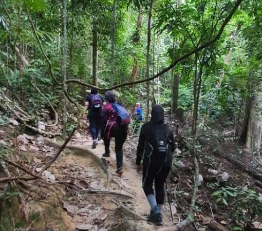 9 écoparcs forestiers à Selangor sont autorisés à fonctionner