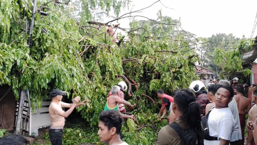 Warga emas cedera, pokok tumbang hempap rumah