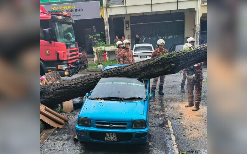 Tiga kereta rosak dihempap pokok tumbang