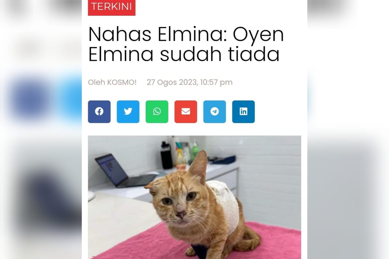 Nahas Elmina: Kematian Oyen Elmina hancurkan hati seluruh rakyat Malaysia