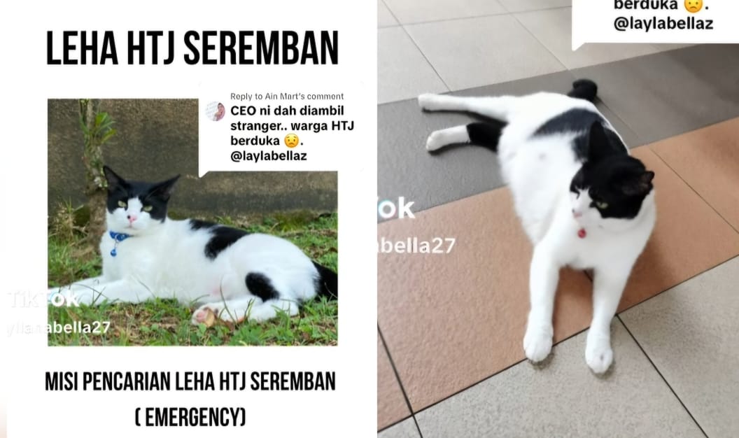 [VIDEO] ‘CEO kena culik, warga HTJ Seremban sedang berduka’