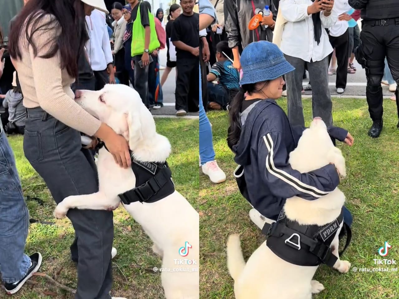 [VIDEO] ‘Manja dengan awek, kena buat aduan SISPA Teddy ni’