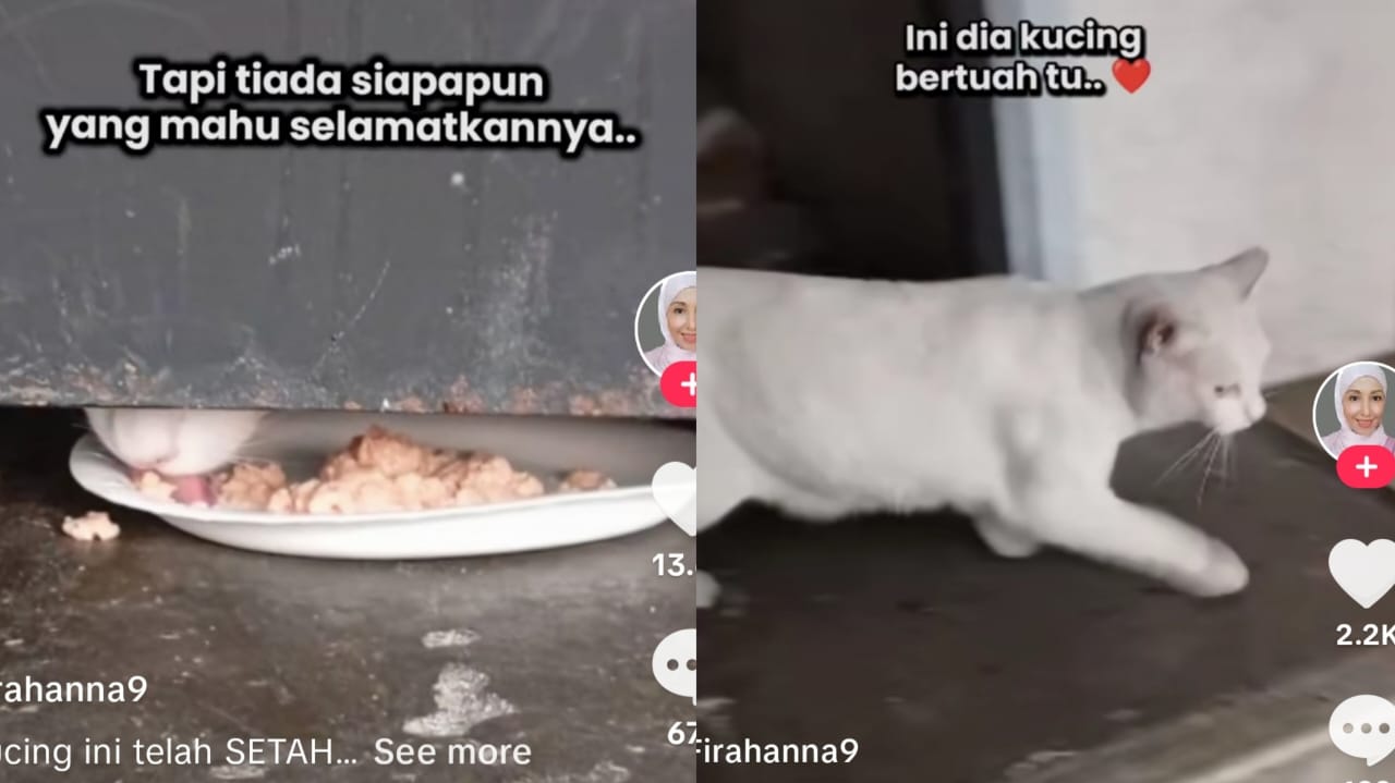 [VIDEO] Setahun terkurung dalam pejabat, akhirnya diselamatkan