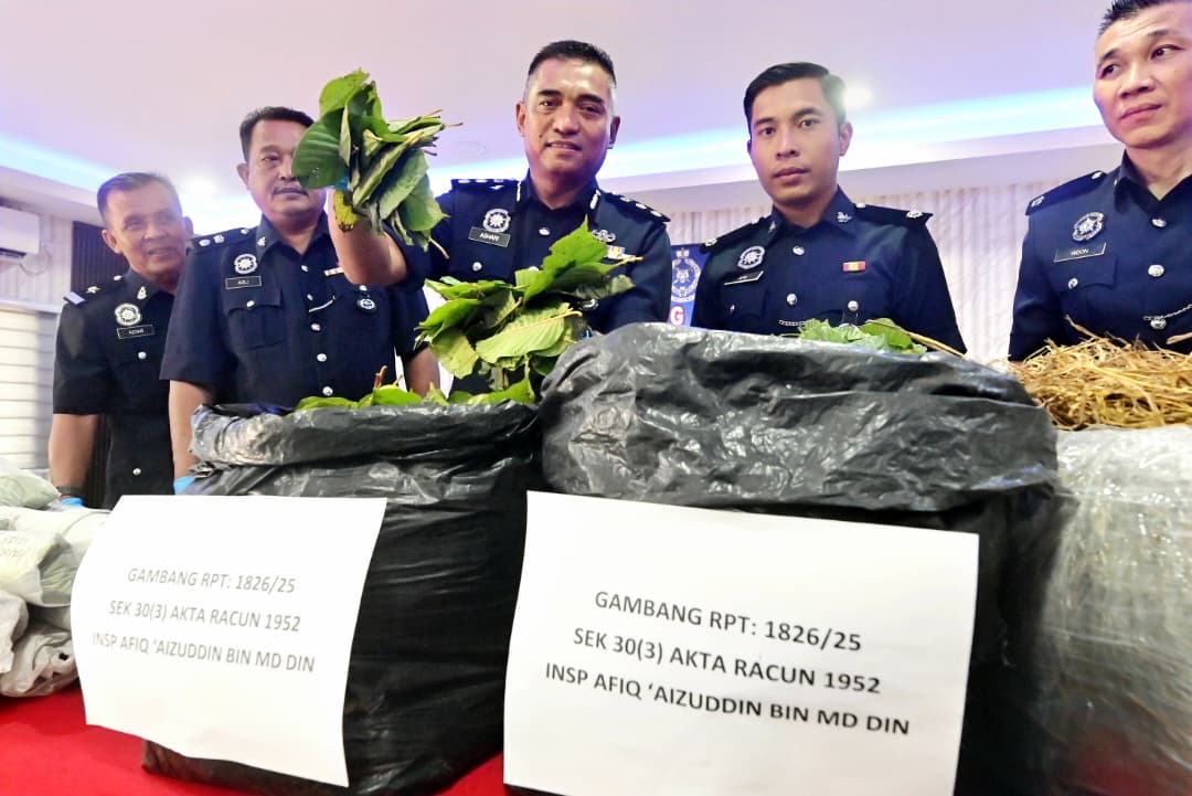 Tiga beranak bersekongkol edar daun ketum dalam jerami