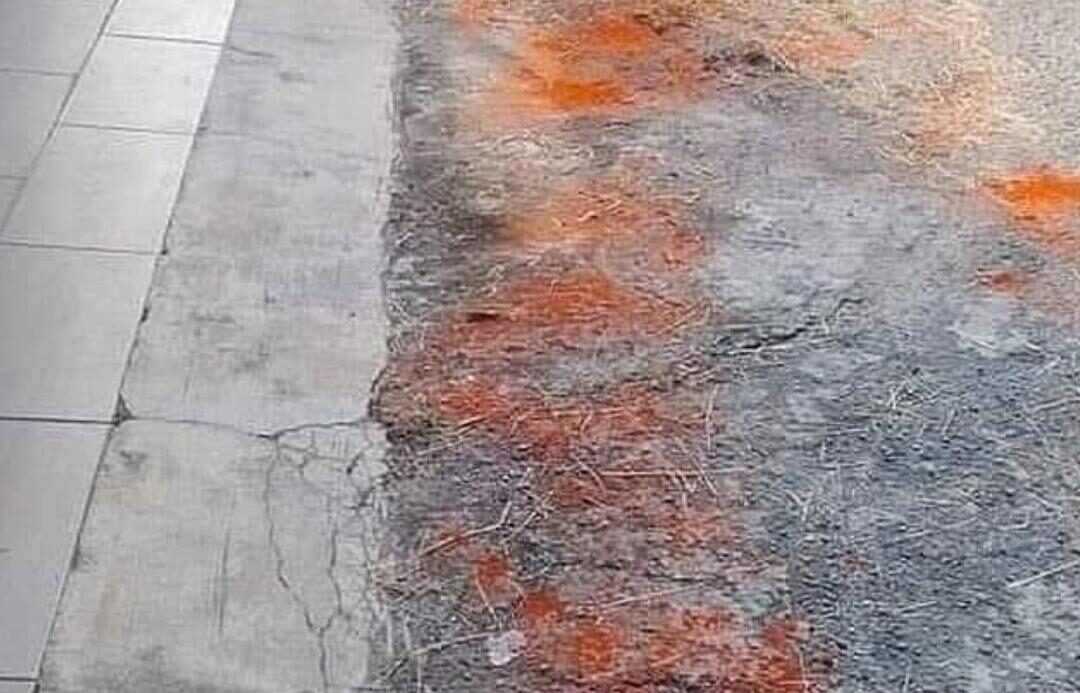 Jiran terpaksa ‘cilikan’ kucing, elak bau busuk