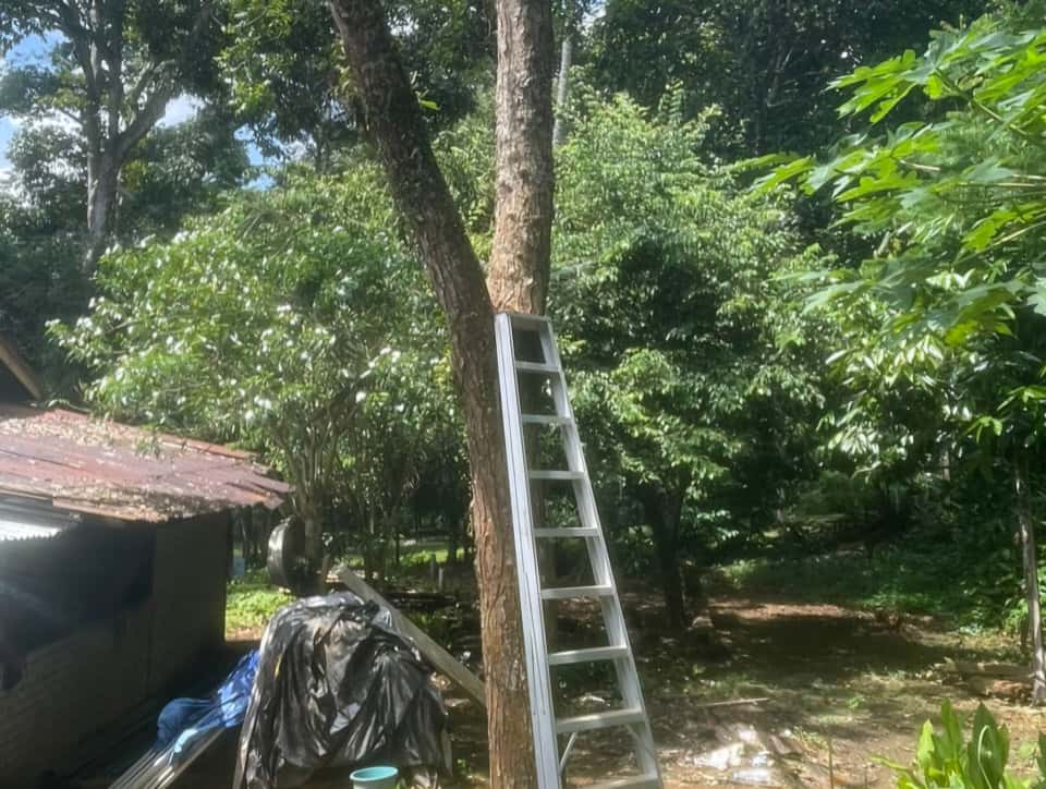 Lelaki baru dua hari kahwin ditemui maut