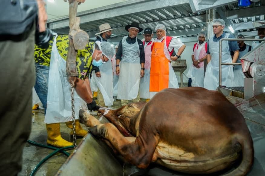 Teknologi moden pacu lonjakan pengeluaran daging negara