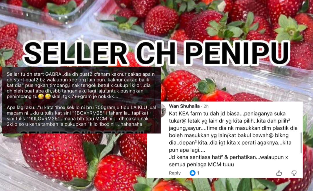 Pusing penimbang terus kantoi, strawberi 1kg rupanya hanya 700g