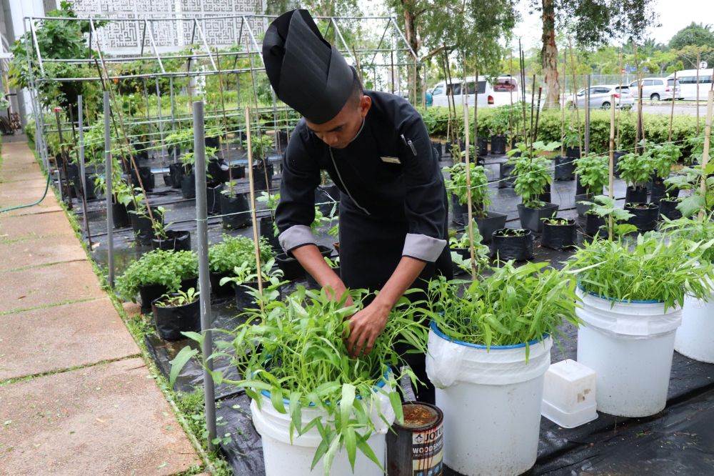 Movenpick KLIA terima Pensijilan Green Globe