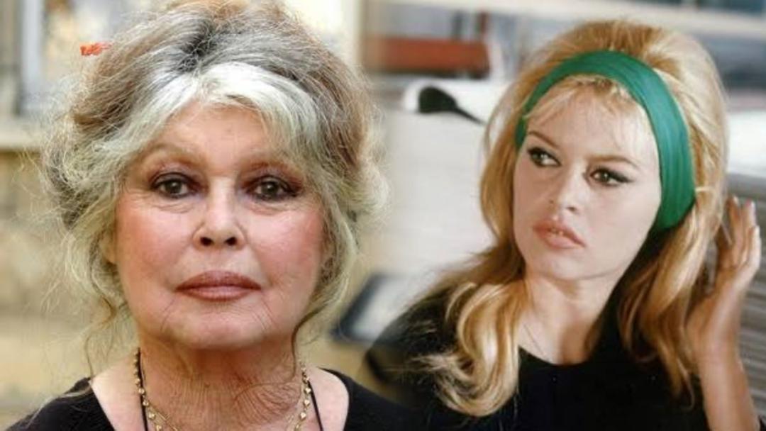 Bintang legenda, pejuang haiwan terbiar, Brigitte Bardot meninggal dunia