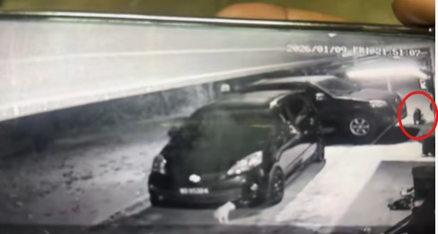 [VIDEO] Harimau masuk kampung waktu malam