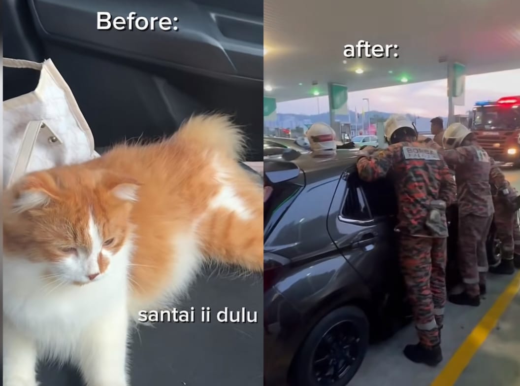 [VIDEO] ‘Nasib tak kena lempang dengan bomba’