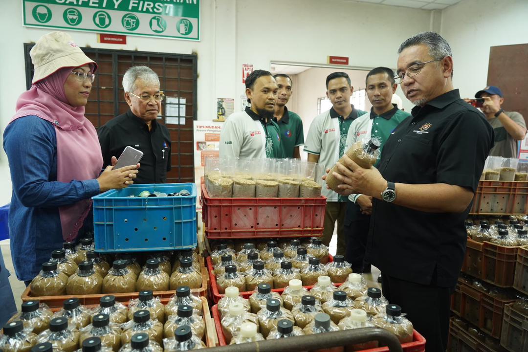 Jangan tunggu beli tanah baru nak bertani – Adly