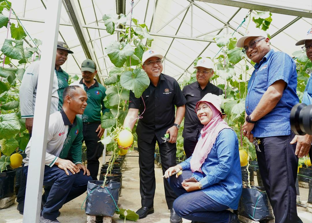 151 veteran ATM dilatih jadi usahawan tani, hasil cili cecah 24 tan