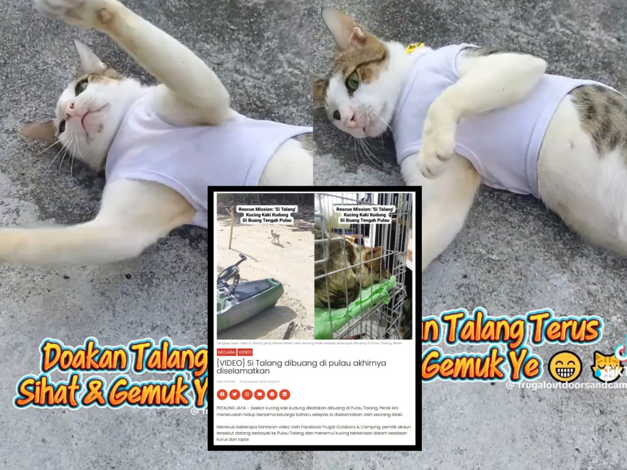 [VIDEO] Kaki Talang kena potong, doakan terus sihat dan gemuk