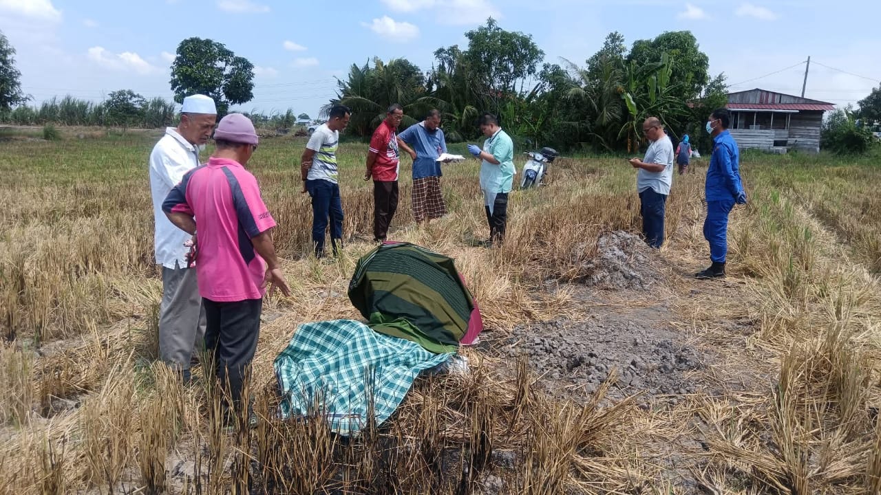 Warga emas maut di bendang sawah