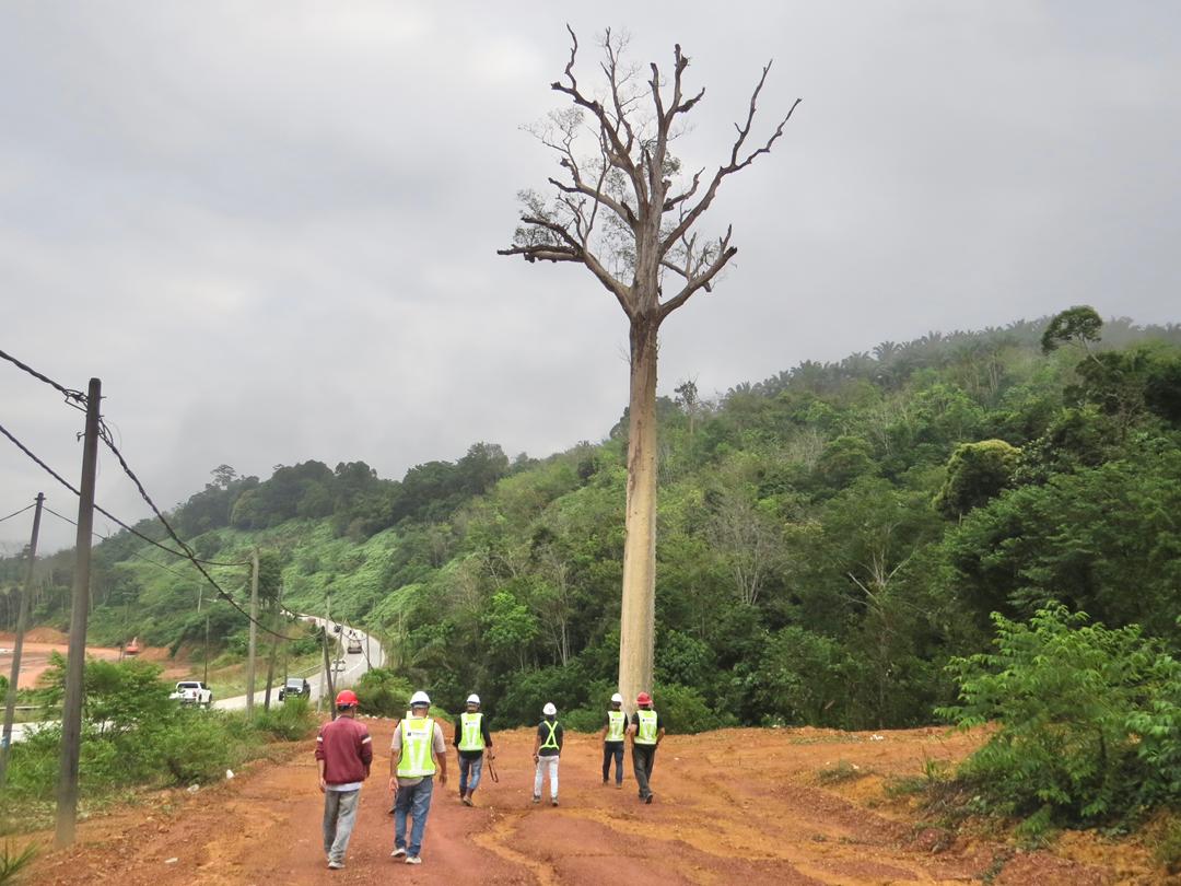 [VIDEO] 40 orang perunding ‘tumbangkan tualang kebal’ Gua Musang