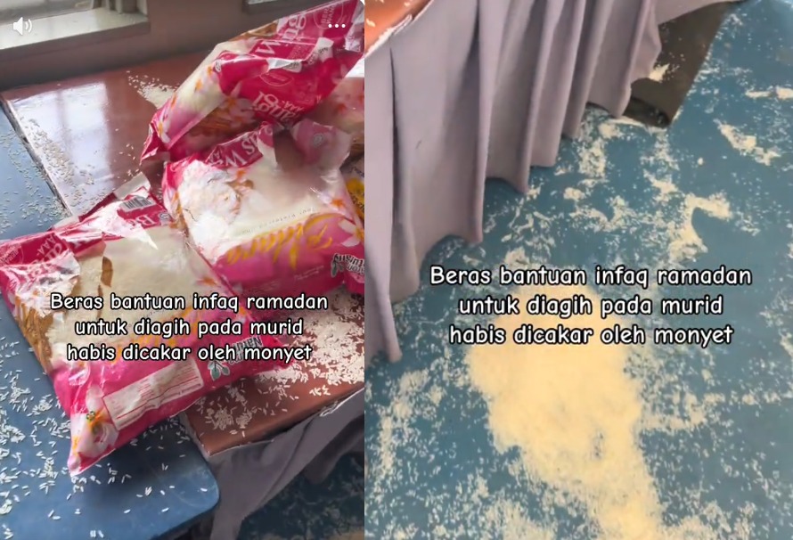 [VIDEO] Monyet ‘pesta’ beras infak Ramadan