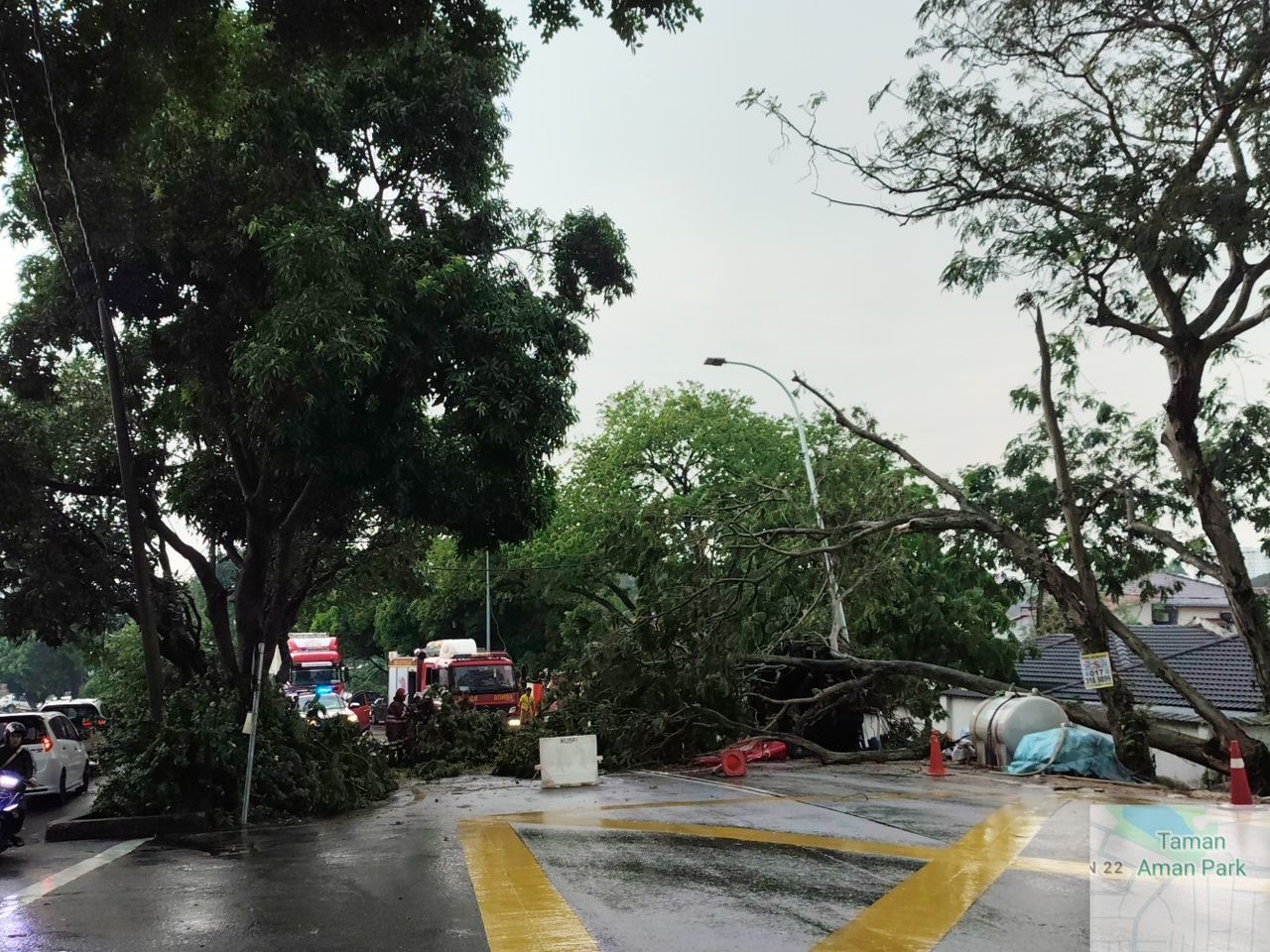 Tiga kejadian pokok tumbang di Petaling Jaya