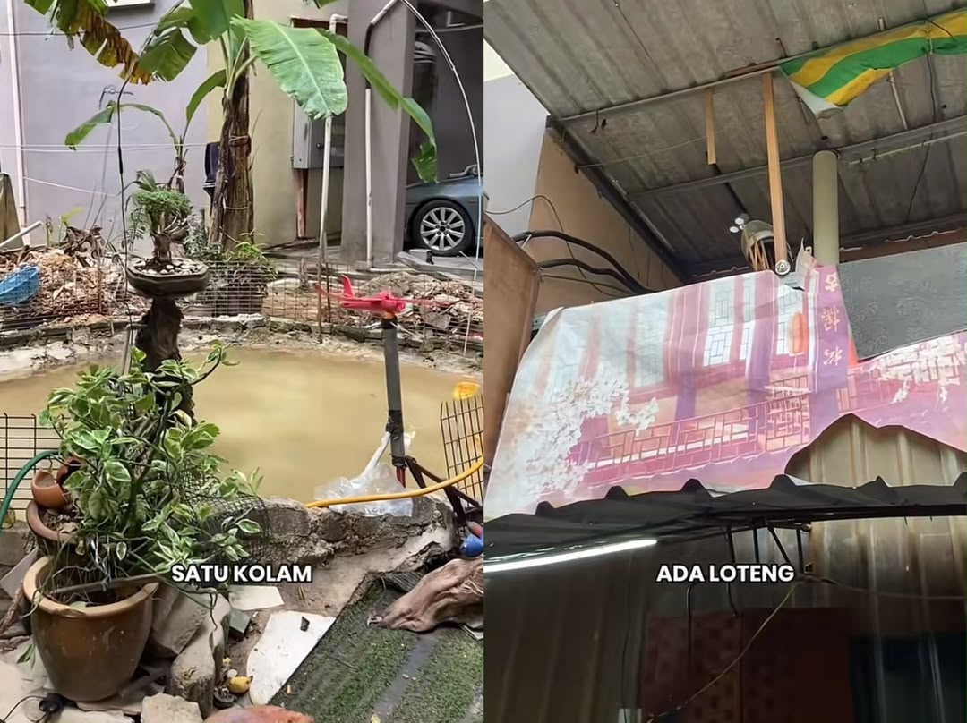 [VIDEO] Rumah siap loteng, kolam ikan dibina secara haram di parkir PPR