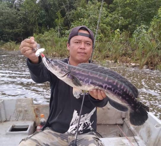 Tasik ikan haruan Review 🇲🇾