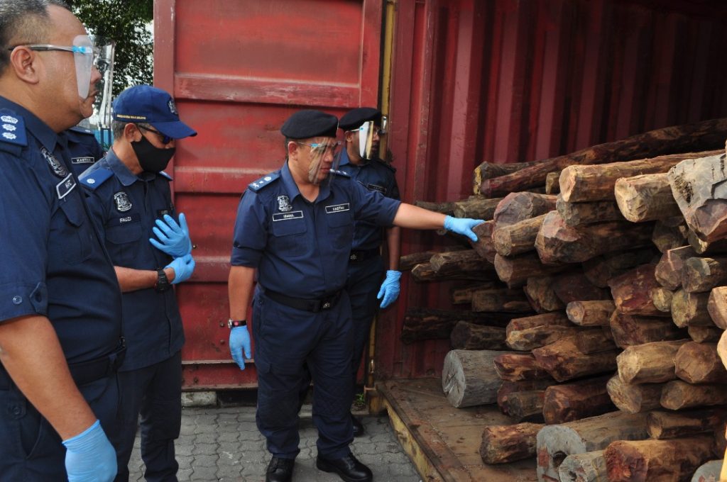 Rampas 11 tan kayu merah bernilai 6.3juta Rampas 11 tan kayu merah bernilai 6.3juta