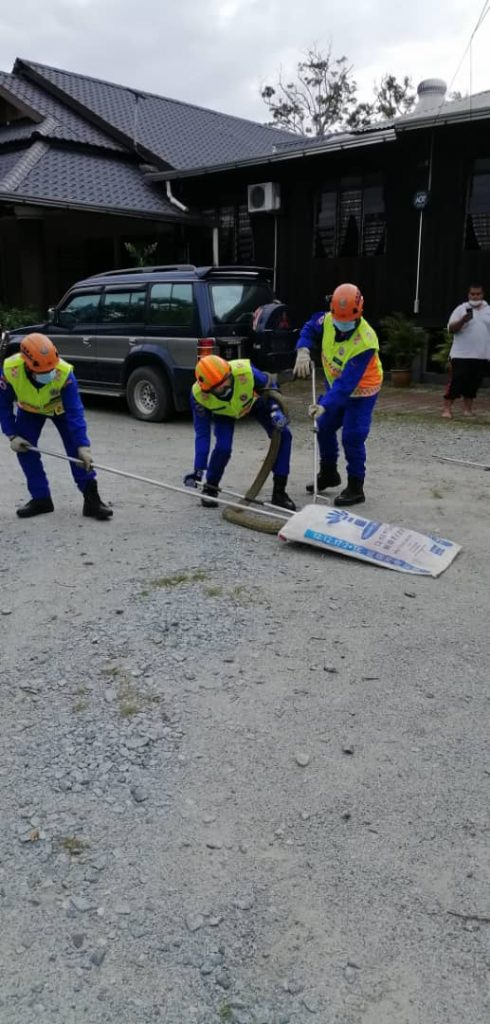 Tedung selar 3 meter ‘ziarah’ masuk rumah Tedung selar 3 meter ‘ziarah’ masuk rumah