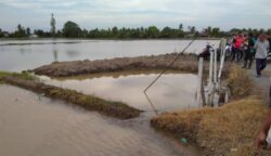 Kanak Kanak Lelaki Mati Lemas Terjatuh Takungan Air Sawah Kosmo Digital