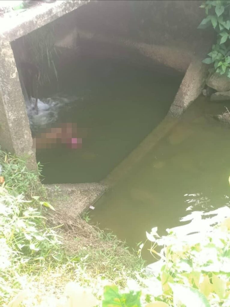 Ajal dalam tali air ketika khayal gam Ajal dalam tali air ketika khayal gam