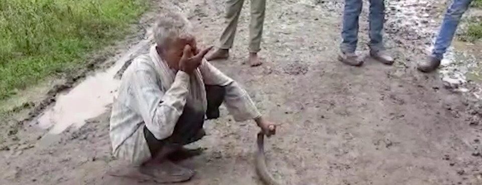 Lelaki dakwa dirinya kebal bisa ular akhirnya mati dipatuk ular