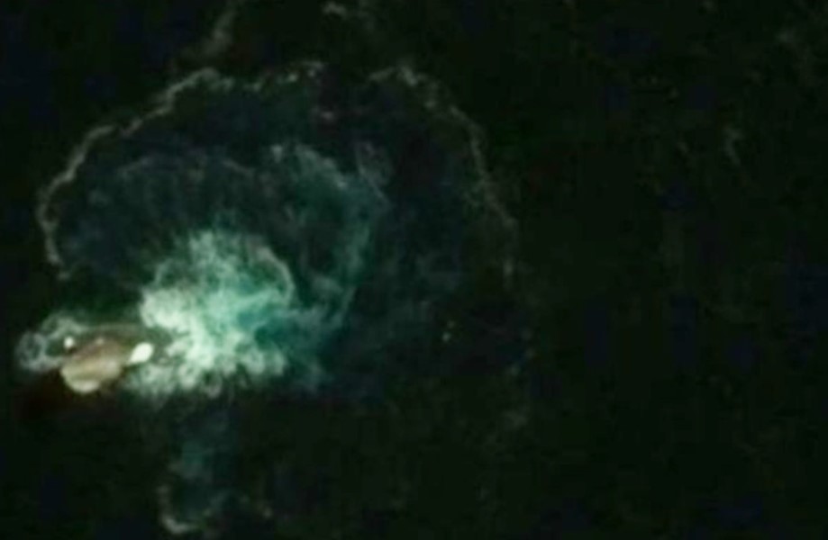 Pengguna Google Maps terkejut lihat imej raksasa di lautan