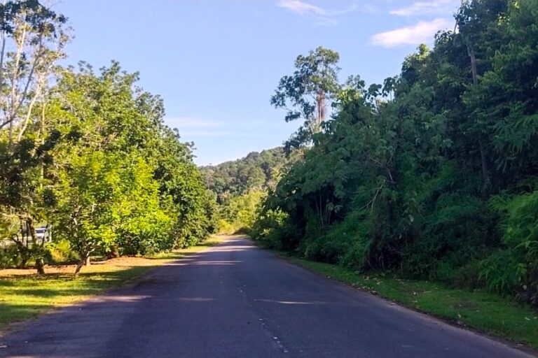 Kisah hantu tumpang kereta di Bukit Bauk - Kosmo Digital