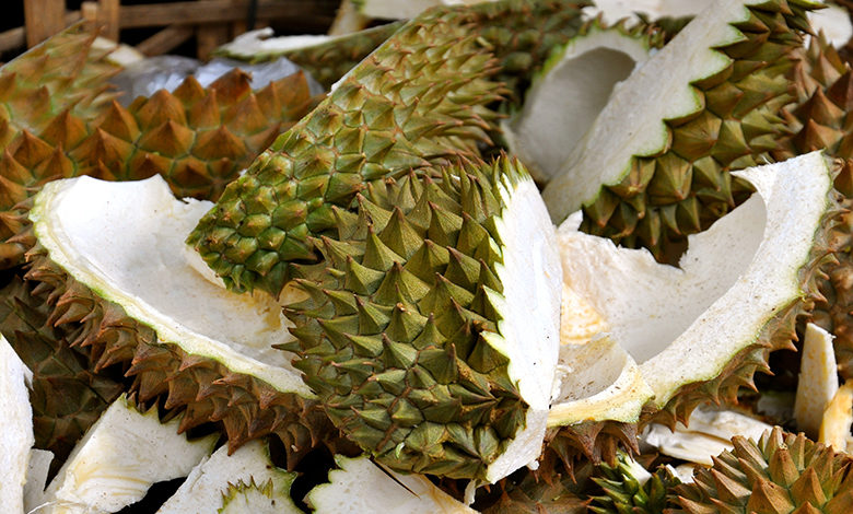 cara halau tikus dengan kulit durian