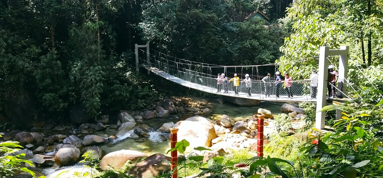 Hutan lipur lata payung