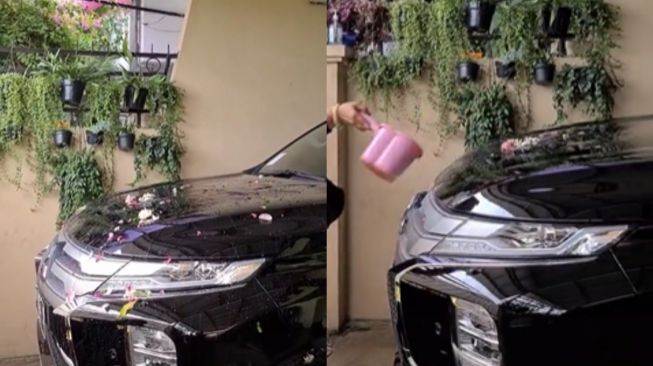 Mobil tular diberi ‘mandi bunga’