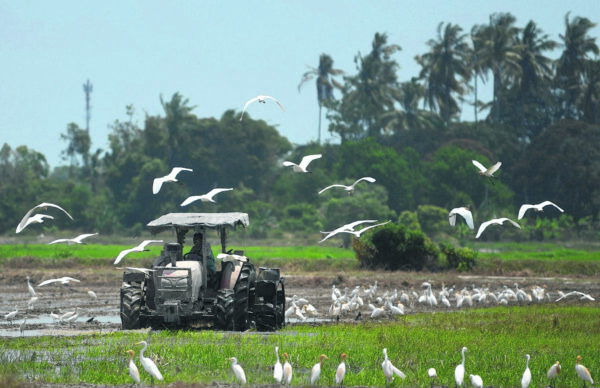 IADA Rompin sedia bantu ‘hero negara’ - Kosmo Digital