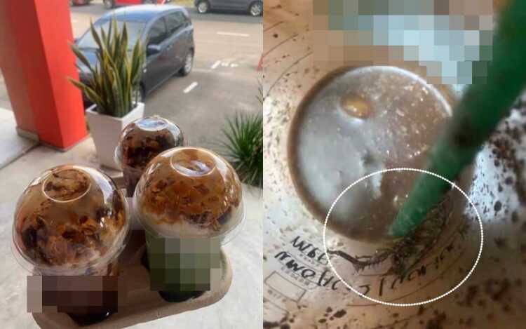 Lipas pun jadi tumpuan paparazi di Met Gala - Kosmo Digital