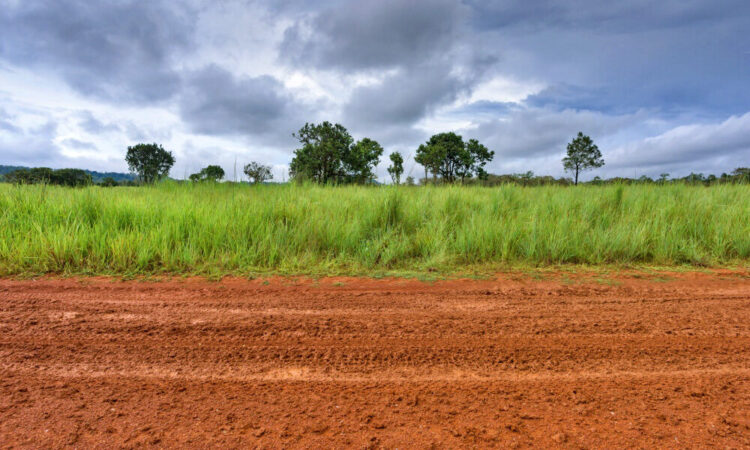 Dewan Rakyat: Perak, Kedah, Kuala Lumpur catat penurunan tanah rizab ...