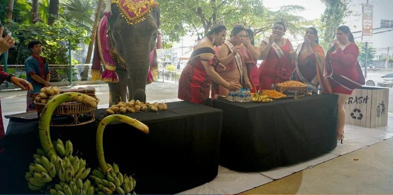 Geli makan