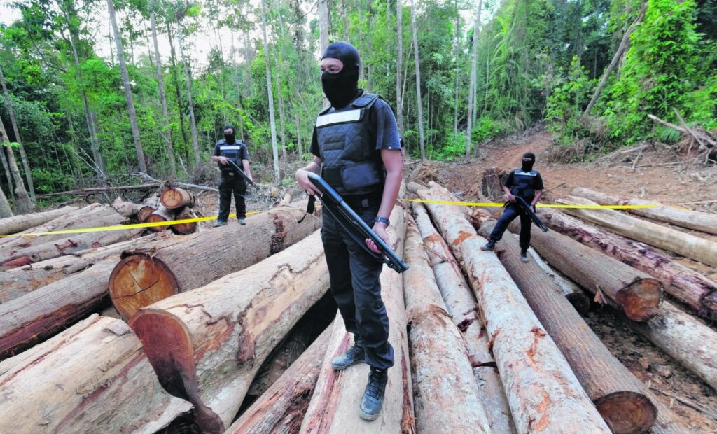 ‘Tebang saja hutan, tanam pula durian’ 9 ‘Tebang saja hutan, tanam pula durian’ 9