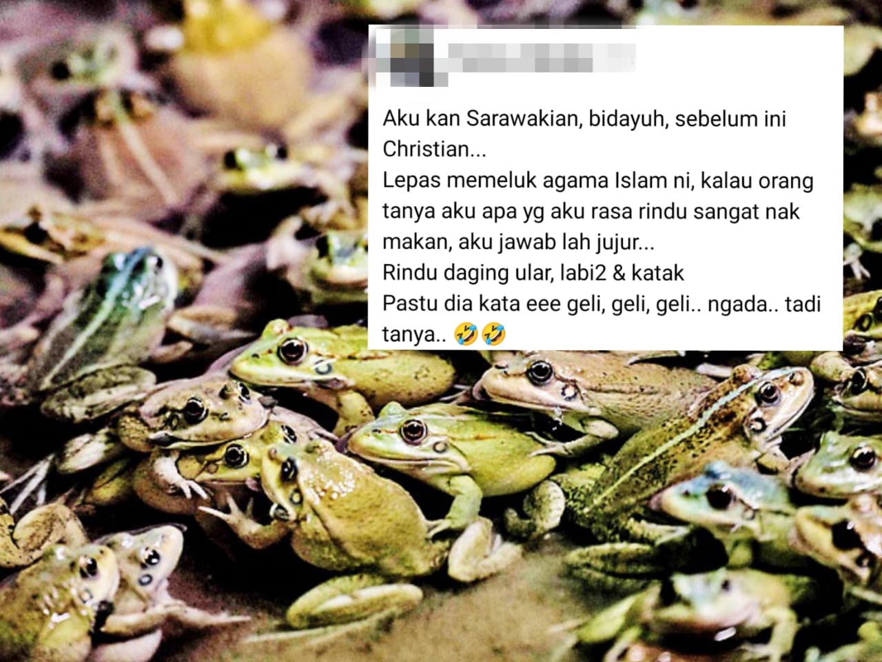 Rindu daging ular, labi-labi dan katak