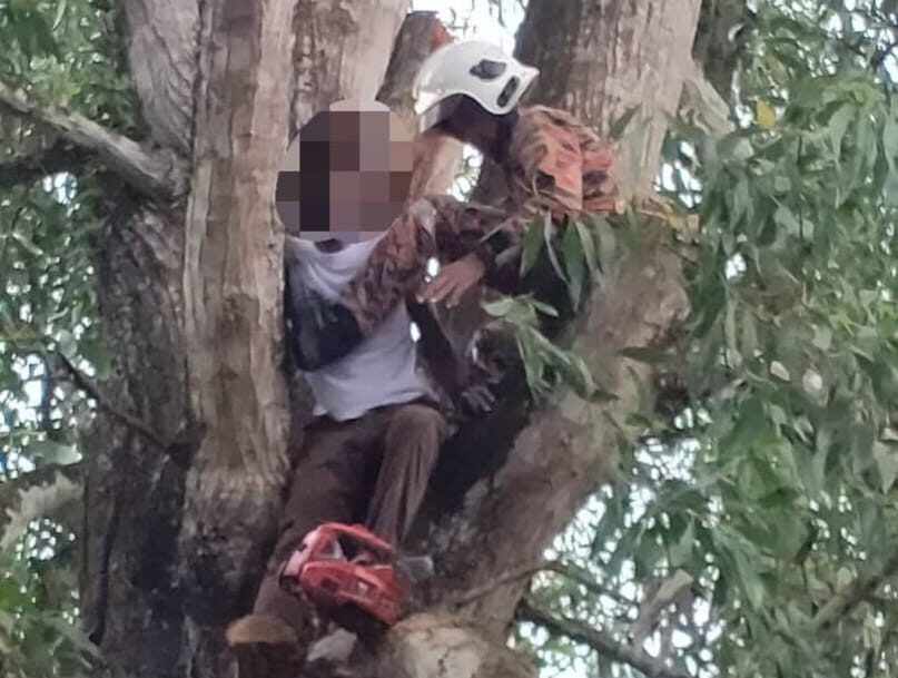Anggota bomba menurunkan lelaki yang tersepit di atas pokok di belakang Kuarters Guru SK Seri Dusun Sik petang tadi. e1725808701439