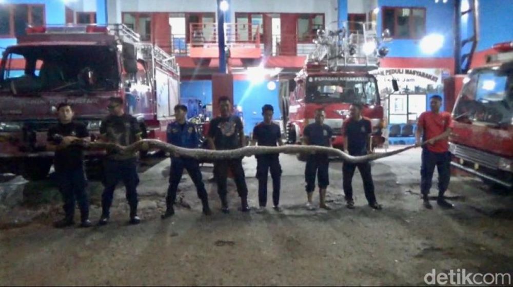 Geli ular22
