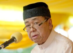 Tarik lesen pemandu kenderaan berat sebabkan kematian – Sultan Selangor
