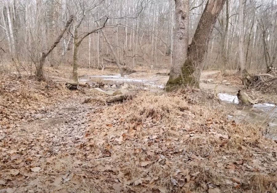 AS Bigfoot