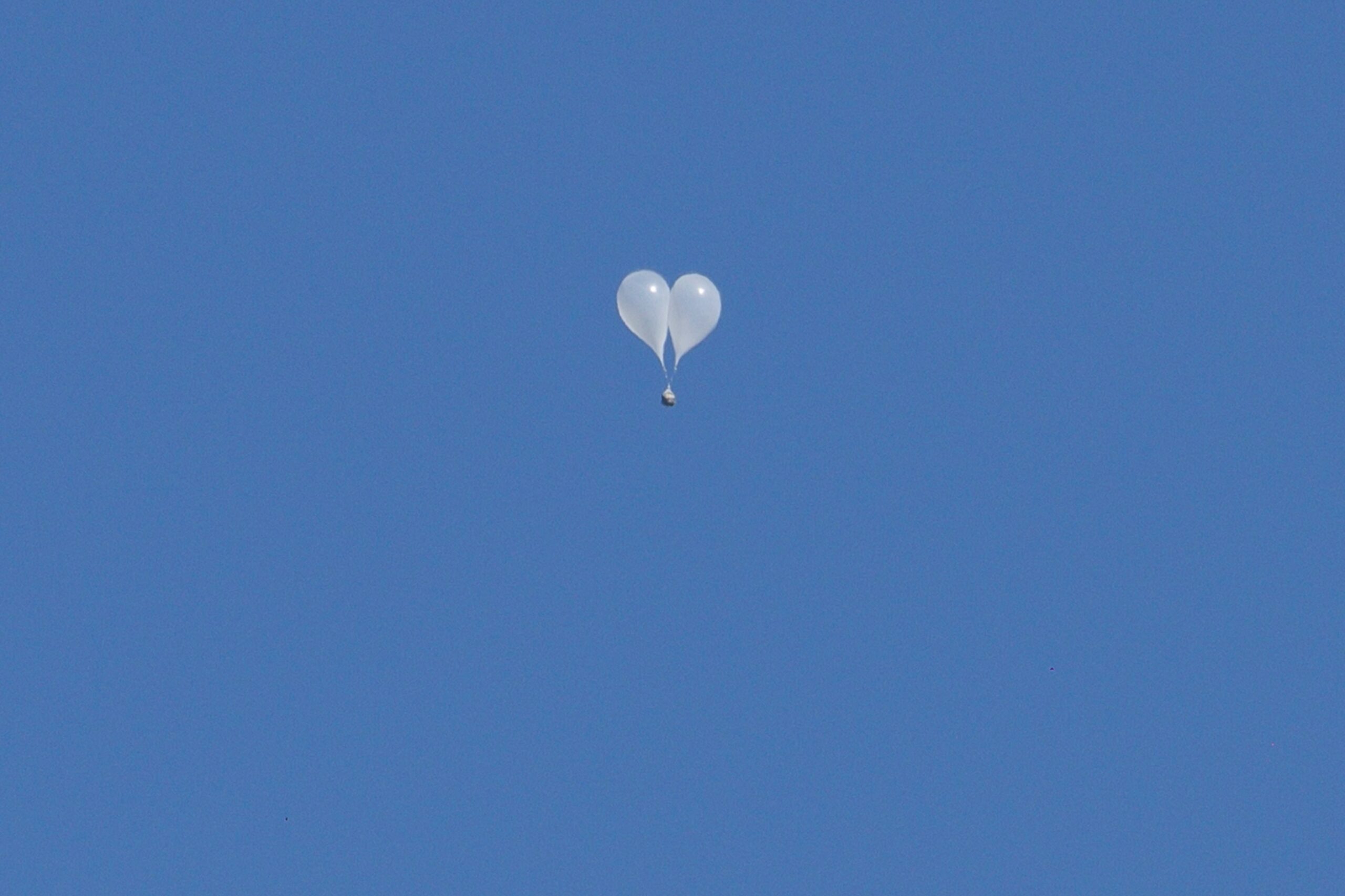 BELON scaled