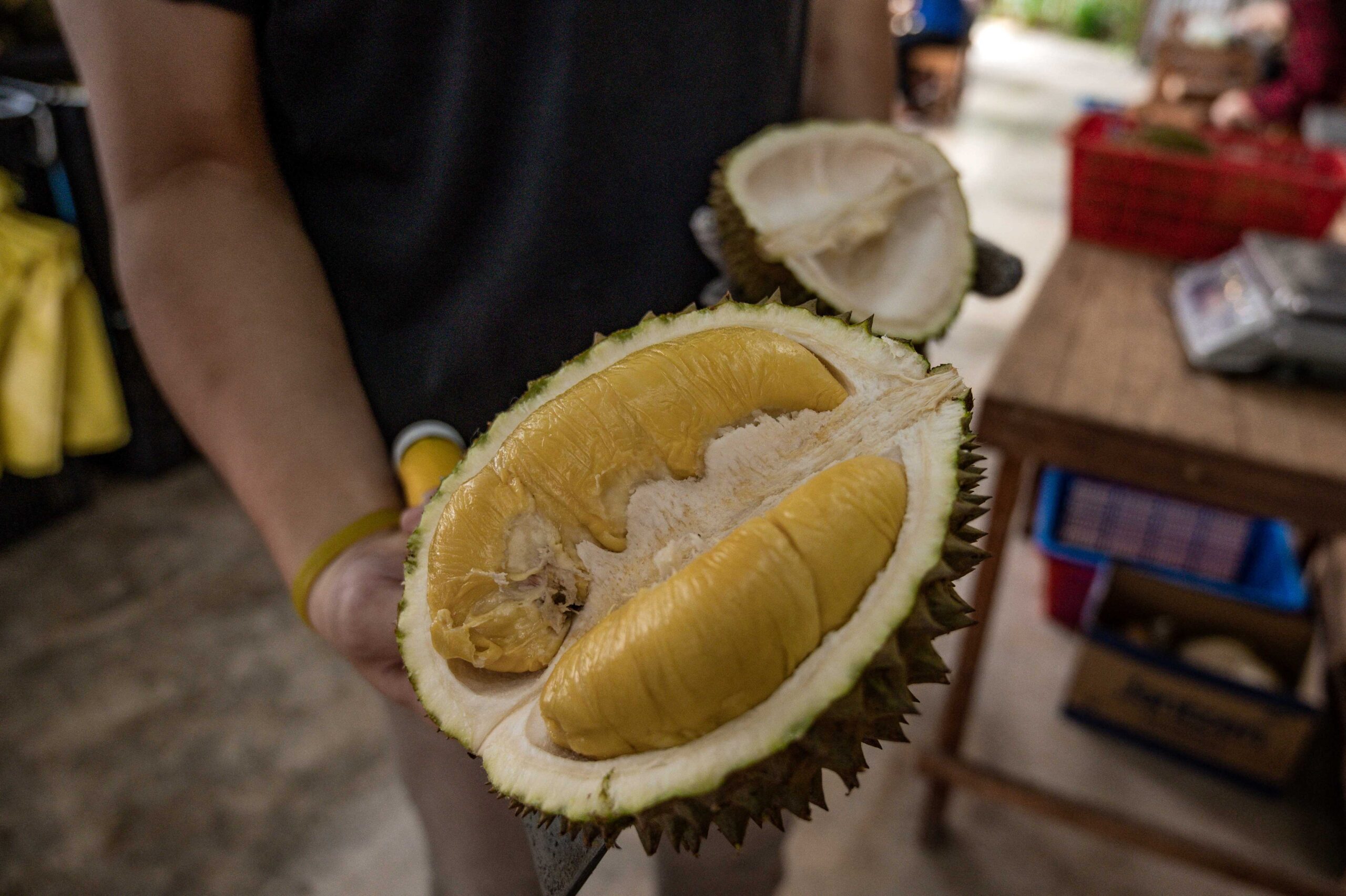 MUSANG scaled