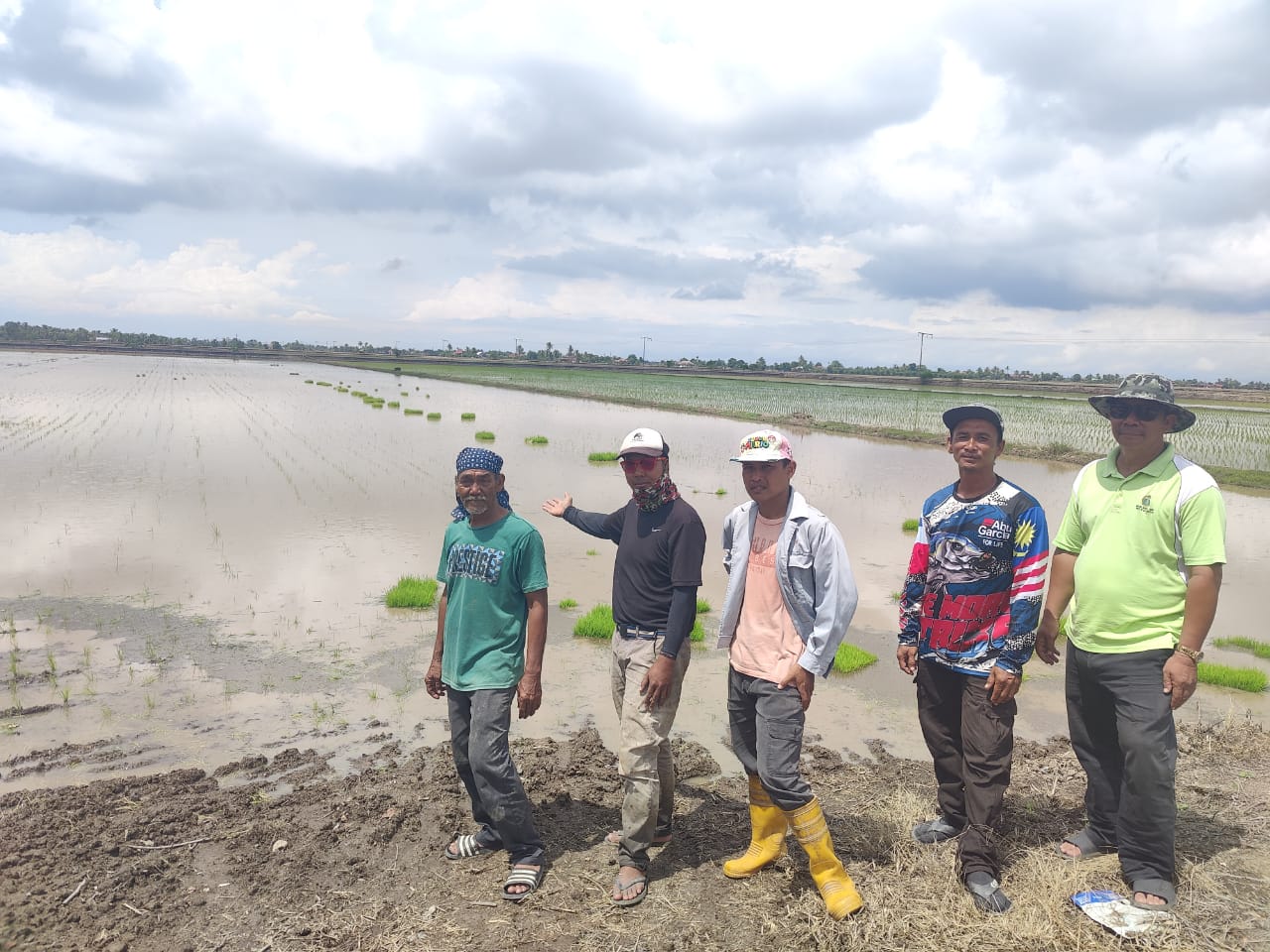 PESAWAH