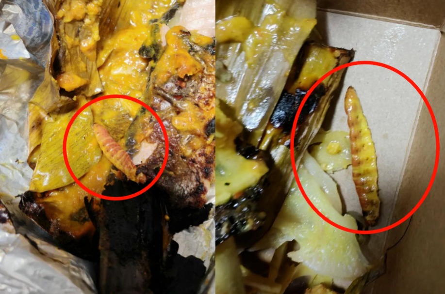 Tangkap layar gambar yang dimuat naik di Thread yang memaparkan seekor ulat dalam lauk ikan patin.