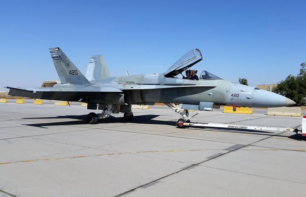hornet